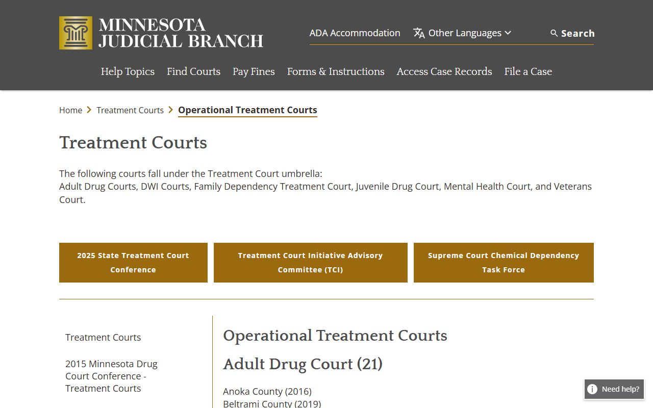 Clearwater County court records and Minnesota treatment court information